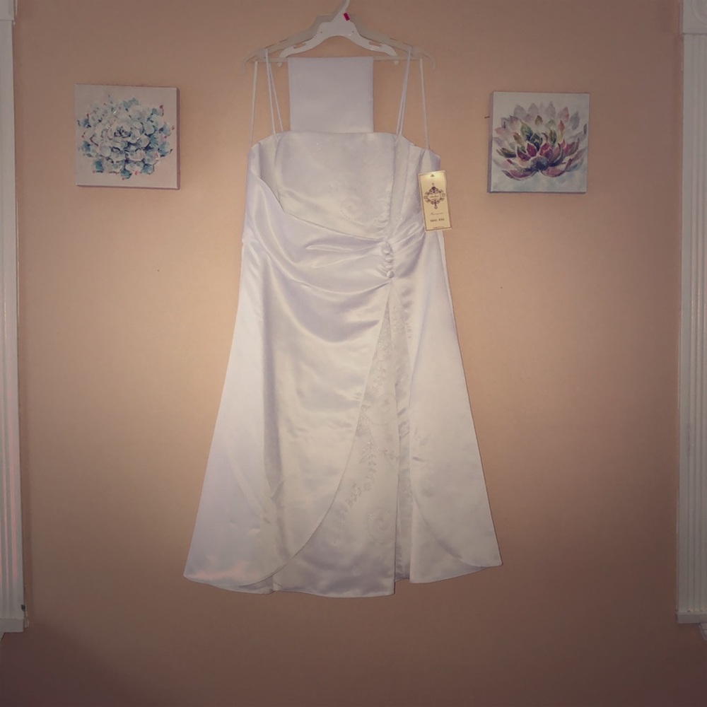 Ivey dress sized XXL US by dollar
